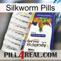 Silkworm Pills 11